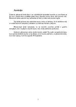 Referāts 'Traumas Basketbolā', 2.