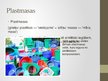Prezentācija 'Plastmasa', 2.