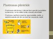 Prezentācija 'Plastmasa', 6.