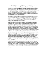 Eseja 'Motivācija - svarīgs faktors personāla izgaismei', 1.