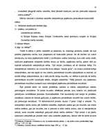 Referāts 'Tiesību normu iztulkošanas paņēmieni', 19.