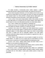 Referāts 'Zināšanu pārvaldības iespējas mazo un vidējo uzņēmumu attīstībā', 6.