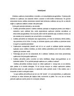 Referāts 'Zināšanu pārvaldības iespējas mazo un vidējo uzņēmumu attīstībā', 10.