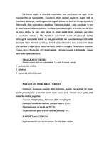 Referāts 'Cukurs', 2.