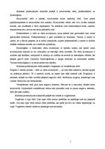 Referāts 'Stilistiski pazemināta leksika jauniešu žurnālā "Sīrups"', 5.