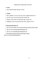 Referāts 'Stilistiski pazemināta leksika jauniešu žurnālā "Sīrups"', 10.