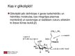 Prezentācija 'Glikolipīdi organismā', 3.