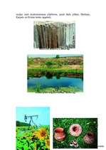 Referāts 'Ukraina', 6.