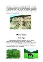 Referāts 'Ukraina', 9.