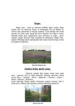 Referāts 'Ukraina', 10.