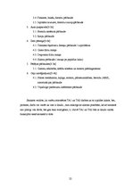 Biznesa plāns 'Autoservisa projekts', 22.