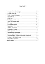 Referāts 'Grupu psiholoģija', 1.