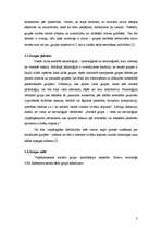 Referāts 'Grupu psiholoģija', 3.