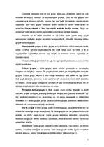 Referāts 'Grupu psiholoģija', 7.