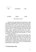 Referāts 'Grupu psiholoģija', 11.