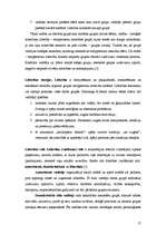 Referāts 'Grupu psiholoģija', 17.