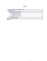 Referāts 'Latvijas magnētiskā lauka kartēšana un rezultātu atspoguļojums Latvijas teritori', 3.