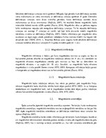 Referāts 'Latvijas magnētiskā lauka kartēšana un rezultātu atspoguļojums Latvijas teritori', 8.