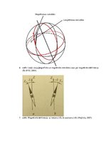 Referāts 'Latvijas magnētiskā lauka kartēšana un rezultātu atspoguļojums Latvijas teritori', 14.