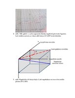 Referāts 'Latvijas magnētiskā lauka kartēšana un rezultātu atspoguļojums Latvijas teritori', 15.