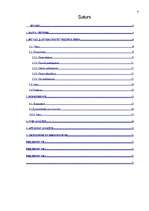 Referāts 'Uzņēmuma tirgus analīze', 2.