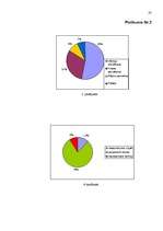 Referāts 'Uzņēmuma tirgus analīze', 23.