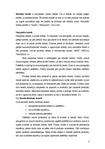 Referāts 'Zīmols un brends', 4.