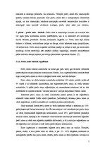 Referāts 'Zīmols un brends', 7.