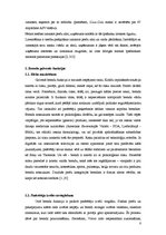 Referāts 'Zīmols un brends', 8.