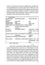 Referāts 'Zīmols un brends', 9.