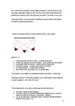 Referāts 'Zīmols un brends', 13.