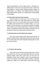 Referāts 'Zīmols un brends', 20.