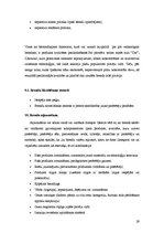 Referāts 'Zīmols un brends', 29.