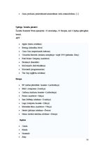 Referāts 'Zīmols un brends', 30.