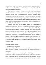 Referāts 'Zīmols un reputācija', 6.