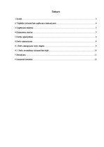 Prakses atskaite 'Prakses atskaite - veikals', 2.