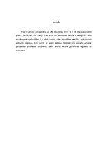 Referāts 'Vides pārvaldības pārskats Rīgas pašvaldībā: ūdens sektors', 3.