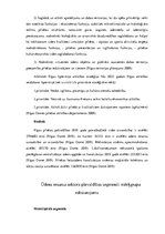 Referāts 'Vides pārvaldības pārskats Rīgas pašvaldībā: ūdens sektors', 7.