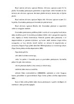 Referāts 'Vides pārvaldības pārskats Rīgas pašvaldībā: ūdens sektors', 11.