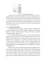 Referāts 'Ģimene - lasītprasmes veicinātāja 1.klases skolēniem', 9.