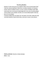 Konspekts 'Stundu konspekti 2.klasei', 3.