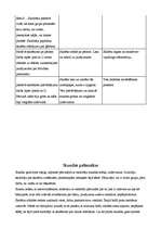 Konspekts 'Stundu konspekti 2.klasei', 12.