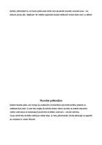 Konspekts 'Stundu konspekti 2.klasei', 13.