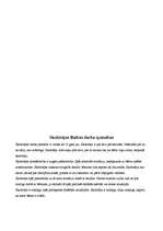 Konspekts 'Stundu konspekti 2.klasei', 17.