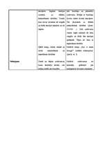 Konspekts 'Stundu konspekti 2.klasei', 26.