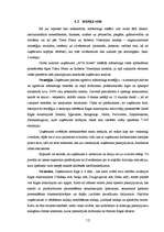 Referāts 'Uzņēmuma "XXXXX" mārketinga darbības SVID analīze un iespējamie attīstības virzi', 13.