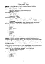 Konspekts 'Emocionālā sfēra', 1.