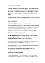 Konspekts 'Izmeklēšanas darbības', 1.