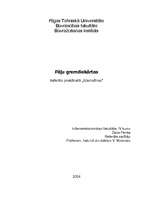 Referāts 'Pāļu gremdiekārtas', 1.