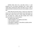 Referāts 'Pāļu gremdiekārtas', 7.